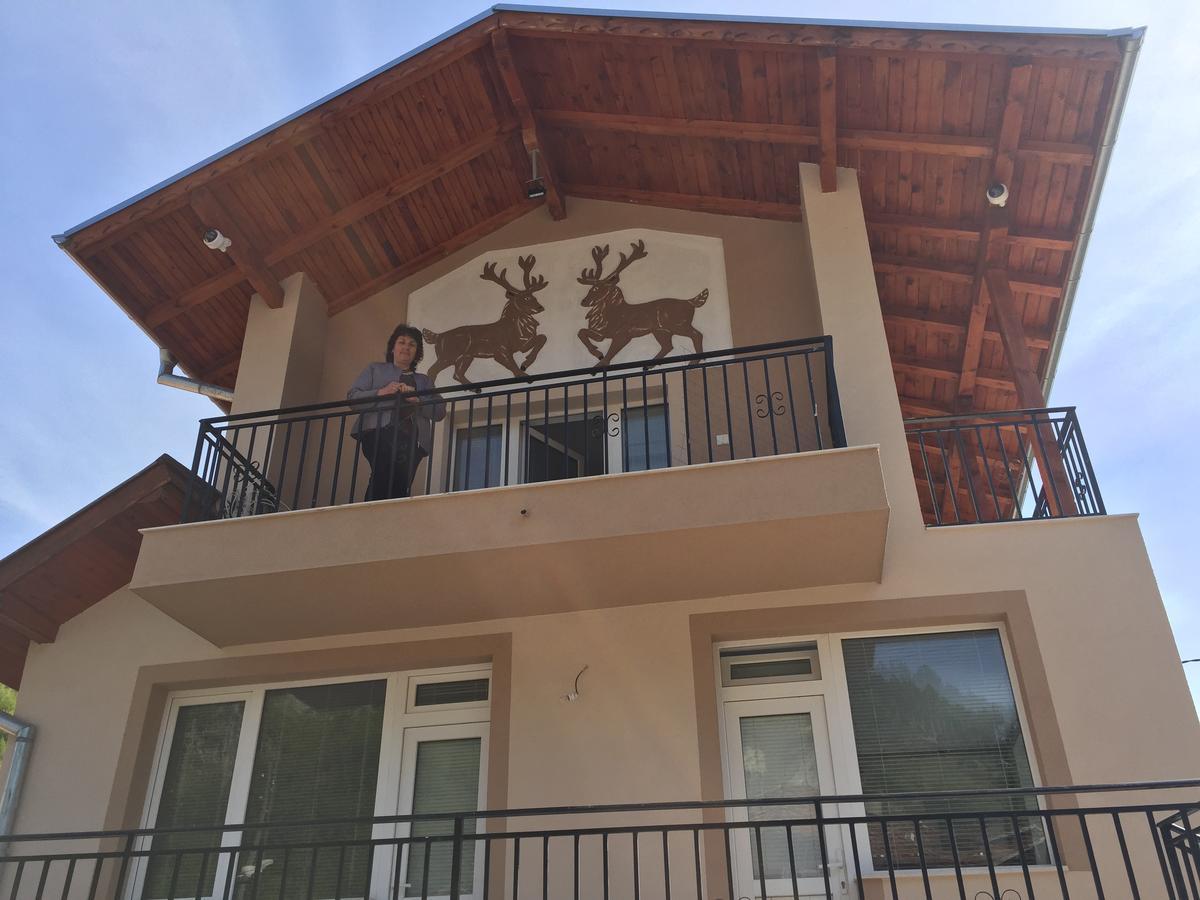 Elenite Guesthouse Гоце Делчев Екстериор снимка